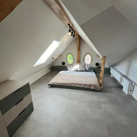 Luxusni Podkrovni Ceska Lipa