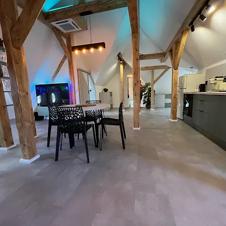 Apartment Luxusni Podkrovni *